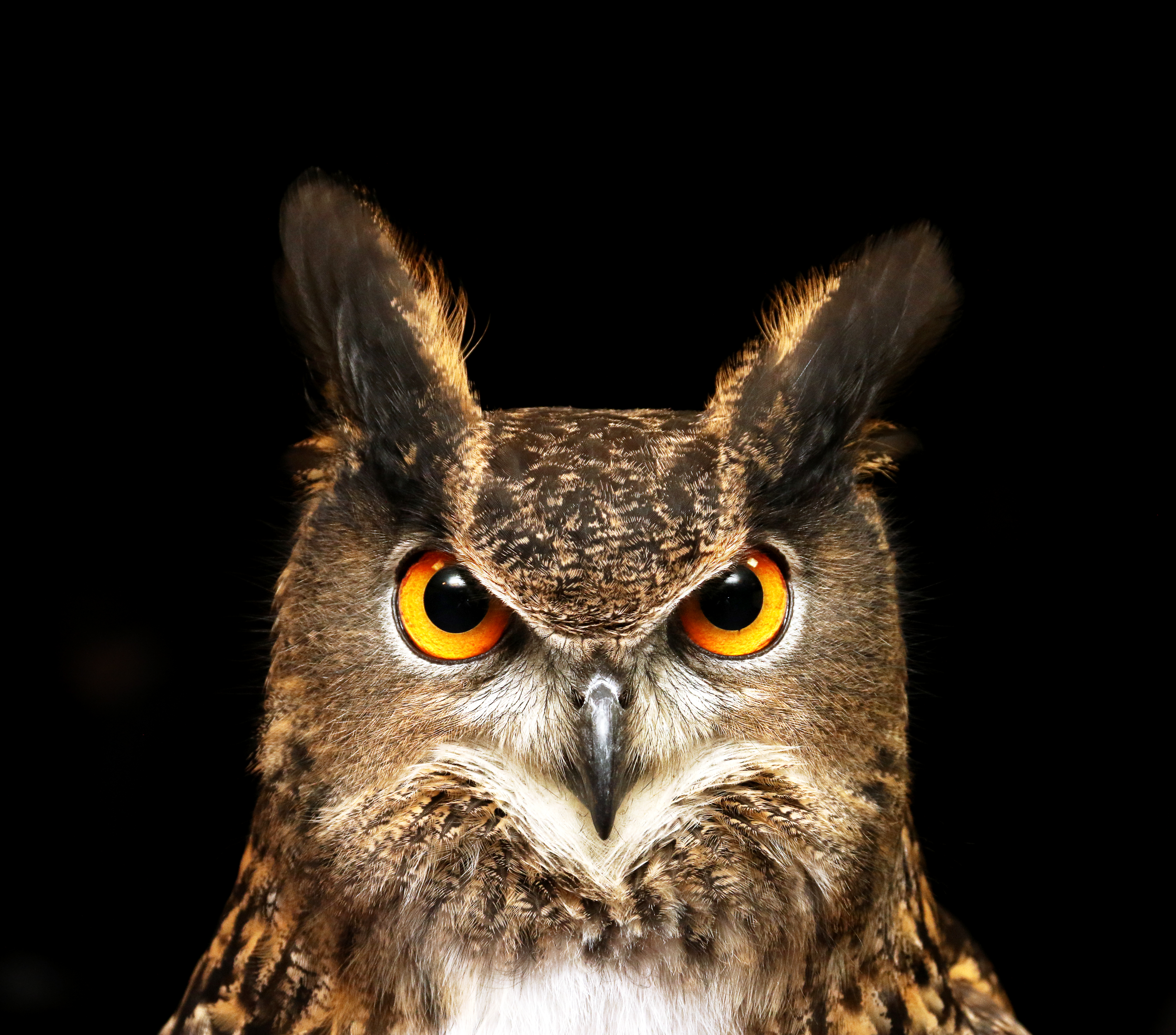 Alabama's Official Travel Guide